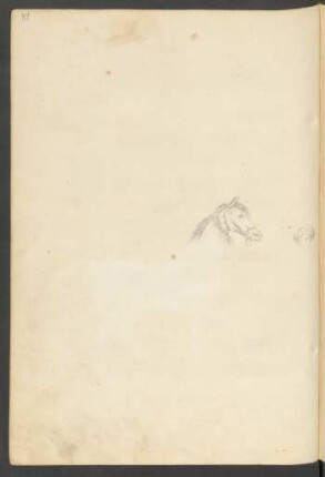 Illustration: f. 81r-82r