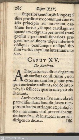 Caput XV. De Auribus