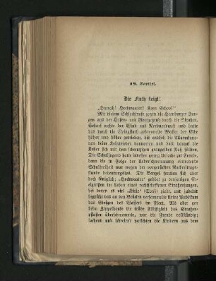 19. Capitel. Die Fluth steigt!