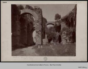 Domus Severiana, Rom