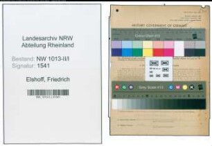 Entnazifizierung Friedrich Elshoff , geb. 28.12.1900 (Direktor)