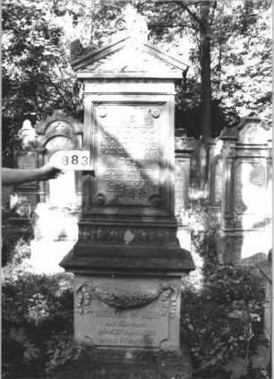 Grabstein 883