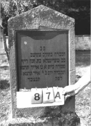 Grabstein 87 (Index: 99609723) Material: Sandstein ?, Platte Granit Zustand: stark verwittert, angeschlagen Maße HxBxT: 140x52x18 cm Beschreibung: Stele, Giebelabschluß, rechteckige Schriftplatte eingelassen, getreppter Sockel: Grabstein 87A