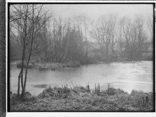 Stadtpark [Stadtpark Hamburg] (Hamburg-Winterhude): Landschaftsbild : SchumacherWV Nr. 130