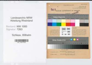 Entnazifizierung Wilhelm Schless, geb. 23.07.1901 (Steuerinspektor)