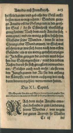 Das XL. Capitel.