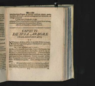 Caput IV. De Ipsa Arbore Consangvinitatis.