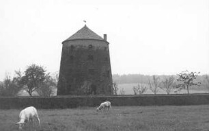 Haselbachtal-Bischheim. Turmholländer, Baujahr 1865