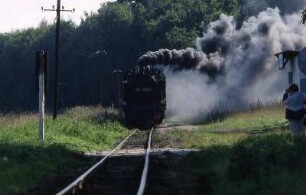 Schmalspurbahn : Schmalspurbahn auf der Insel Rügen. Aufgenommen 2001