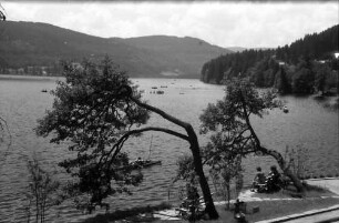 Titisee: Kurpromenade am See
