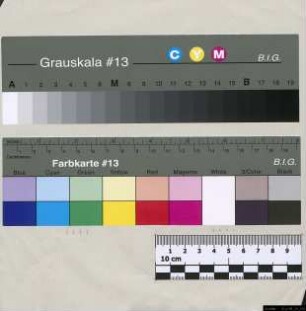 Chronik der Stadt Münster 1895-98