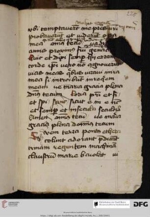 Bruchstück eines liturgischen Textes