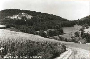 Obereichsfeld. Buchborn mit Klosterschranne. Friedatal bei Lengenfeld unterm Stein (Kreis Mühlhausen)