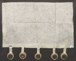 Instrumentum probationis des Alexander Johann Heinrich von Sickingen-Sickingen.