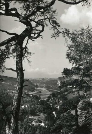 Sächsische Schweiz. Niederrathen und Elbtal abwärts gegen Wehlen. Blick vom Gamrig durch Bäume nach Westsüdwest