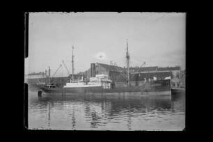 Bussard ex Siegen (1921), Frachtschiff, Argo Reederei Richard Adler & Söhne, Bremen, Bau-Nr. 149