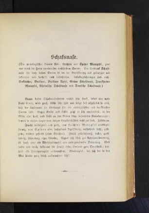 Schafsnase. (Die pomologischen Namen sind: Leichter und Spitzer Matapfel, zwei nur durch die Form voneinander verschiedene Sorten. Der Ausdruck Schafsnase für diese beiden Sorten ist bei der Bevölkerung viel geläufiger und bekannter und deshalb auch beibehalten. Lokalbezeichnungen sind noch: Seckbächer, Berliner, Berliner Apfel, Grüne Schafsnase, Frankfurter Matapfel, Rheinische Schafsnase und Deutsche Schafsnase.)