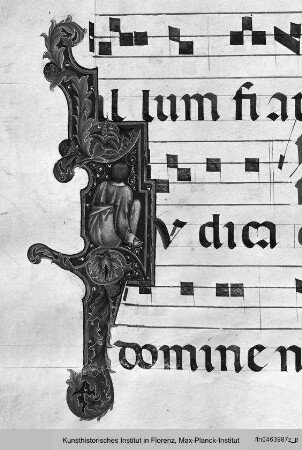 Graduale D aus San Domenico, Perugia : Initale I