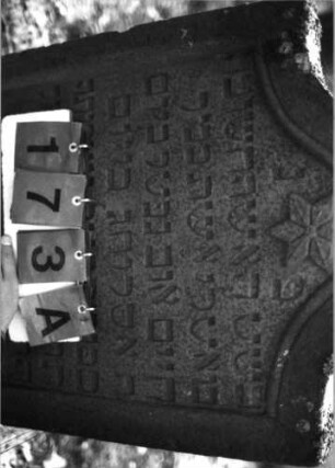 Grabstein 173 (Index: 99795706) Maße HxBxT: 99x61x8 cm Symbolik: Blüte: Grabstein 173A