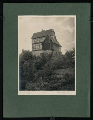 293, Altensteig. Schloss. (Nr. 3436).