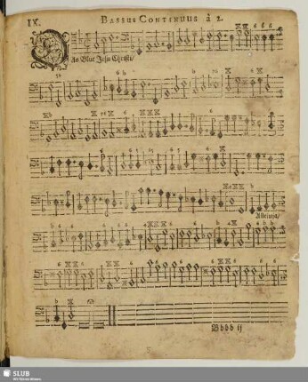 IX. Das Blut Jesu Christi