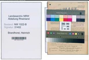 Entnazifizierung Heinrich Brandhorst , geb. 03.08.1915 (Angestellter)