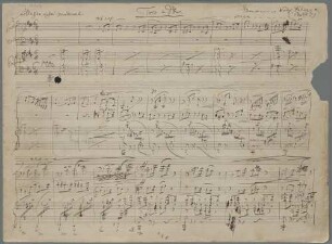 Trios, vl, vlc, pf, op.5, D-Dur, Sketches - BSB Mus.ms. 12306 : [caption title:] Trio = D Dur. Ermanno Wolf-Ferrari // (Bühl)