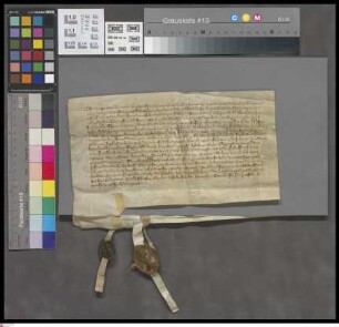 Blödesheim: Contractus super perpet. pens. quae dat Gerlacus de Bledesheim et conjuse Greta ad coll. St. Martini Bug