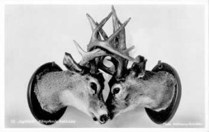 73. Jagdhalle: Kämpfende Rehböcke ; Internationale Pelz- und Jagd-Ausstellung, Leipzig 1930 ; 31. Mai - 30. September