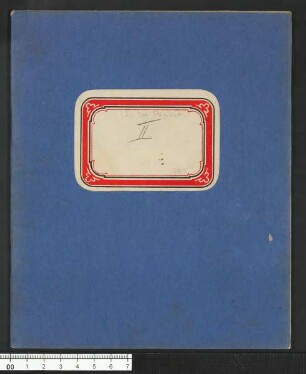 Das Mangobaumwunder (arabische Kapitel-Zählung) - Kapitel 2, Der Patient