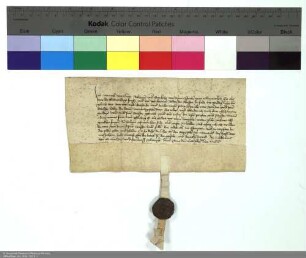 Revers Wenzels von Cleen bezüglich der Belehnung mit dem halben Dorf Dorn-Assenheim durch Hermann [von Buchenau], Abt von Fulda