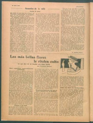 Las más bellas flores le rinden culto : Lo que dice de su tocador una dama bonita