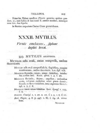 XXXII. Mytilus.