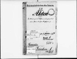 Abtretungs- und Abstimmungsgebiet im Osten: Bd. 6