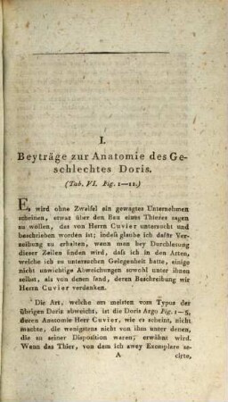 Beyträge zur vergleichenden Anatomie, 1,2