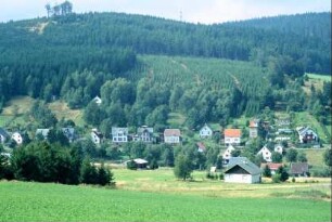 Häuser in der Gießübler Straße, Landschaft, Wald