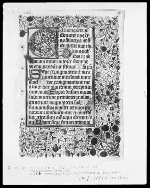 Lateinisches Gebetbuch aus Kloster Baumburg — Initiale A und Vollbordüre, Folio 47recto