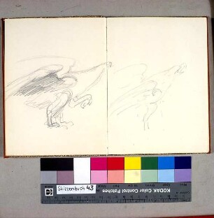 Adler