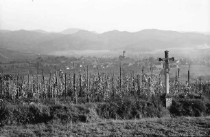 Kirchhofen: Blick vom Batzenberg auf Kirchhofen