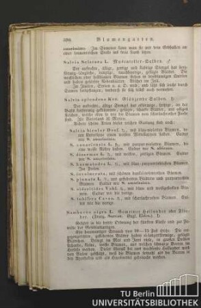 Sambucus nigra L. Gemeiner Hollunder oder Flieder. (Franz. Sureau. Engl. Eldes.)