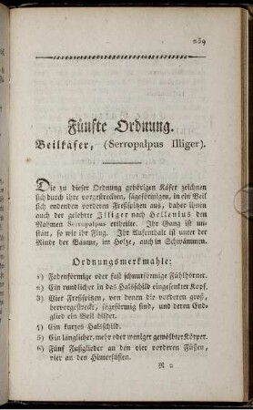 Fünfte Ordnung Beilkäfer, (Serropalpus Illiger).