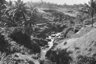 Erosionsrinnen : Flusslandschaft mit Palmen und Hügeln
