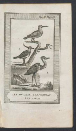 Tafel: 1. La bécasse. 2. Le vanneau. 3. Le heron.