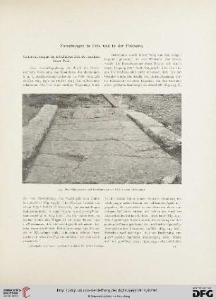 17.1914: Forschungen in Pola und in der Polesana