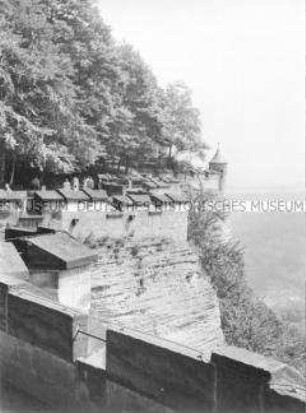 Blick von der Festung Königstein auf die Elbe (Sächsische Schweiz)