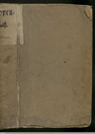 4: Br-Bz - Cod.hist.fol.889-4
