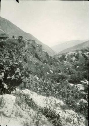 Schotterterrassen oberhalb Valera