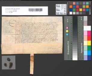 Eidesleistung des Johann Luyninck als Abt von St. Pantaleon.