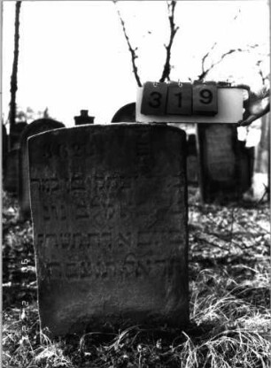 Grabstein 319 (Index: 100115839) Material: Sandstein Zustand: verwittert mit Textverlust Maße HxBxT: 74x50x8 cm Beschreibung: Stele mit Segmentbogenabschluß: Grabstein 319