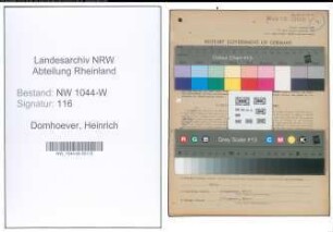 Entnazifizierung Heinrich Domhoever , geb. 31.03.1902 (Gemeinderatsmitglied)